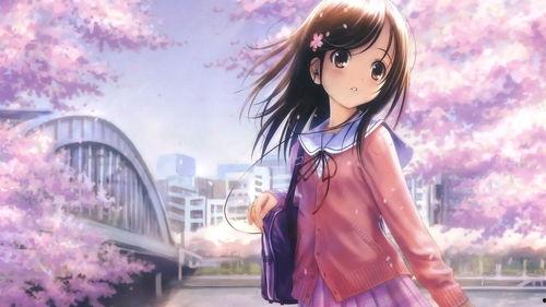 动漫妹子壁纸,梦幻视觉盛宴，邂逅青春魅力