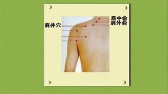 日本按摩视频,传统与现代的完美融合